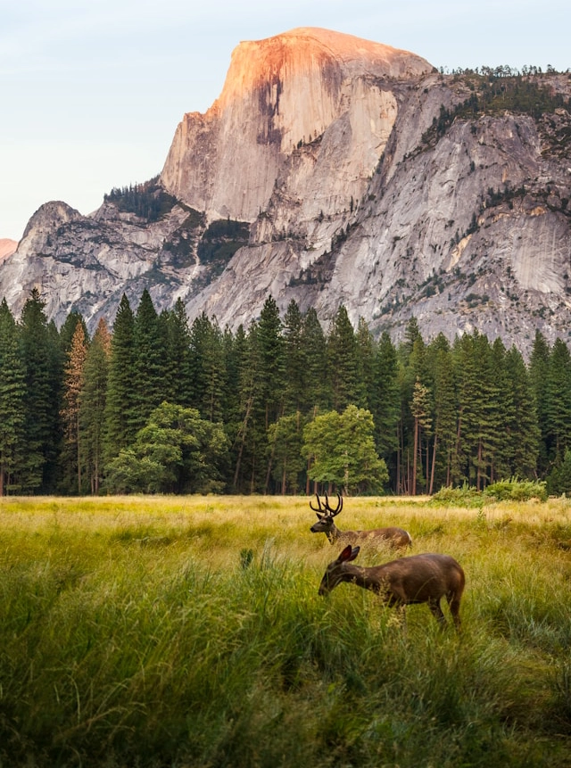 Póster personalizado de paisaje